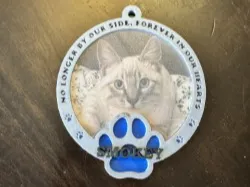 Pet Christmas Ornament