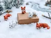 Red fox