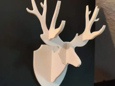 https://makerworld.bblmw.com/makerworld/model/USfe2627aa2b4c23/design/2024-11-21_80387a5791ad1.png