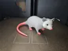 0.16mm layer, 2 walls, 15% infill, 4 colors