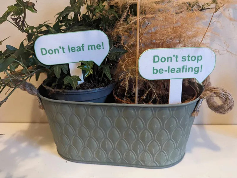 Plant Speech bubbles