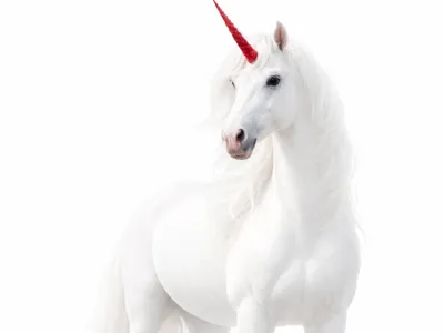 Unicorn with red horn