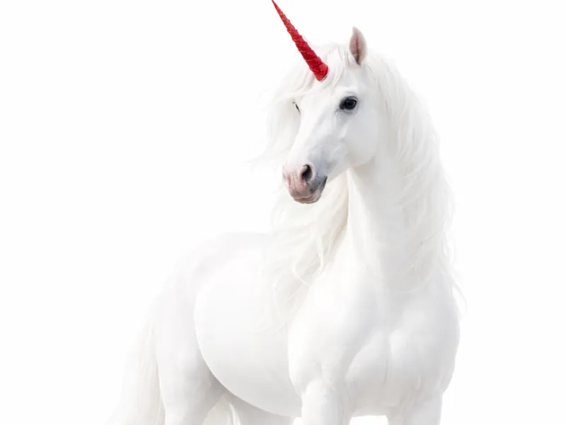 Unicorn with red horn