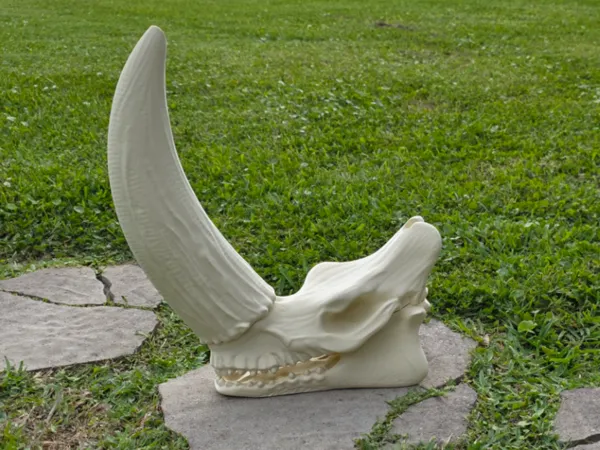 https://makerworld.bblmw.com/makerworld/model/USfe3acfead5b786/design/9ee9b5d953afc412.jpg