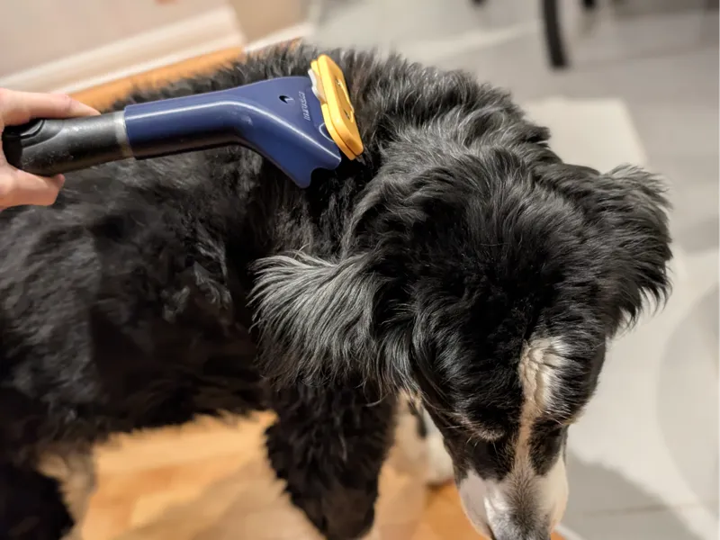 Fur rake vacuum adapter: brush the dog in a breeze
