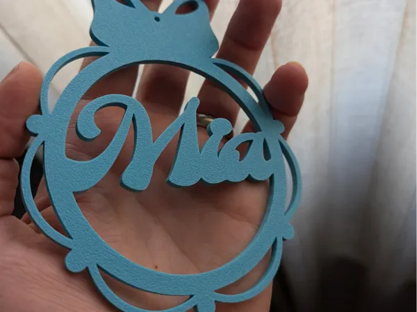https://makerworld.bblmw.com/makerworld/model/USfe42f3db1117fa/design/2024-11-10_7056d190f6ad5.jpg
