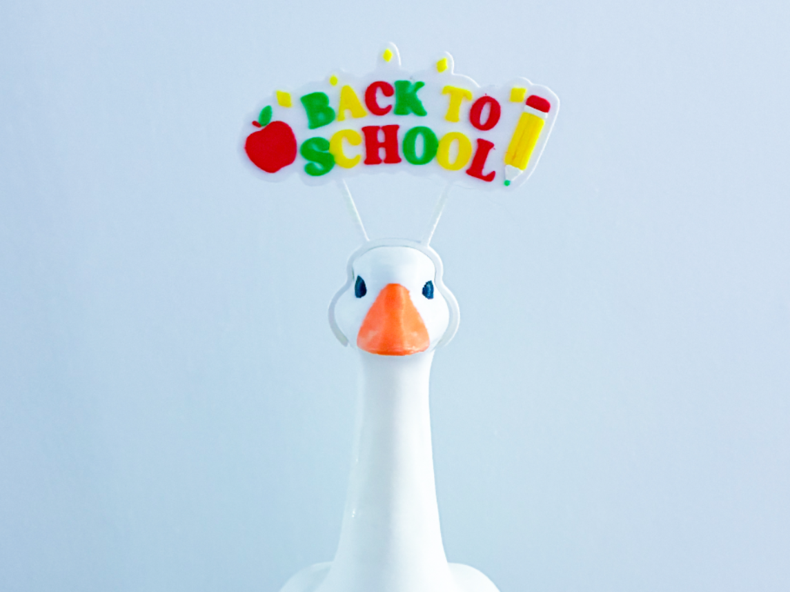 Back To School Headband Desk Goose Gear - 1