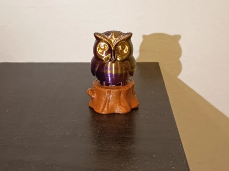Sleepy Owl