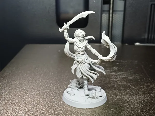 https://makerworld.bblmw.com/makerworld/model/USfe499b6d8c47f2/design/ebbd184578e4a3bb.jpg