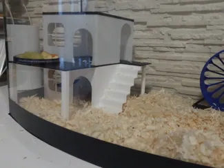 a home for a hamster