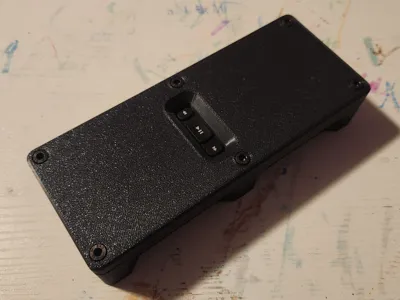 Roku Remote Child Case