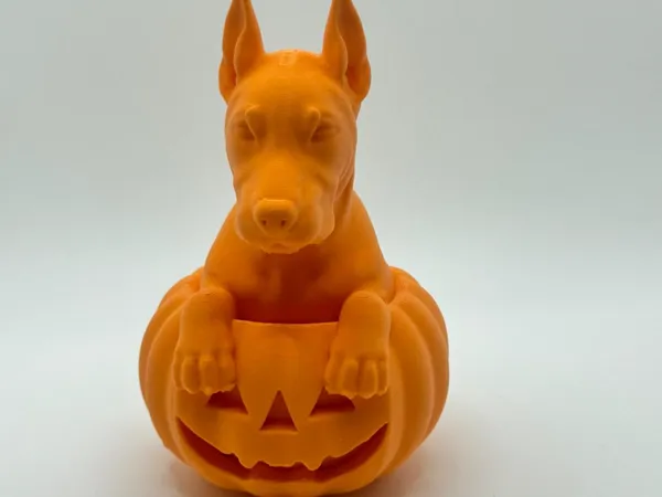 https://makerworld.bblmw.com/makerworld/model/USfe4de0057324e3/design/2025-06-29_ee31082846fd.jpg