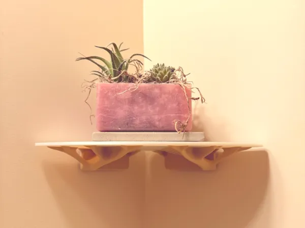 https://makerworld.bblmw.com/makerworld/model/USfe51297a380b32/design/2025-05-02_1b3bdff1dd72e8.jpeg