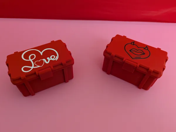 https://makerworld.bblmw.com/makerworld/model/USfe5c23670e5dd0/design/2025-02-02_5bbc62a8bd592.jpg