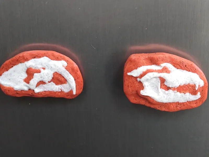 Prehistoric Mammal Fossil Skull Magnets