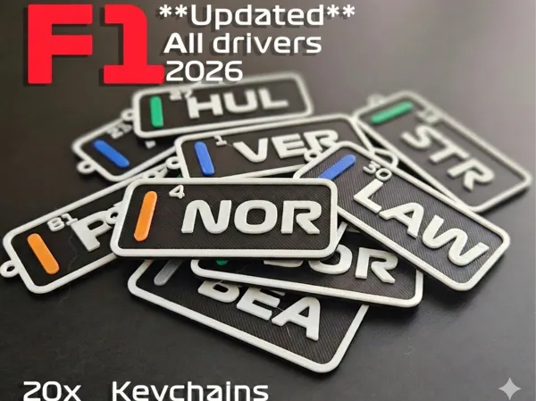 https://makerworld.bblmw.com/makerworld/model/USfe624d3146449c/design/82984a30009a85b3.png