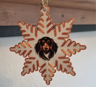 Christmas Star with Dachshund