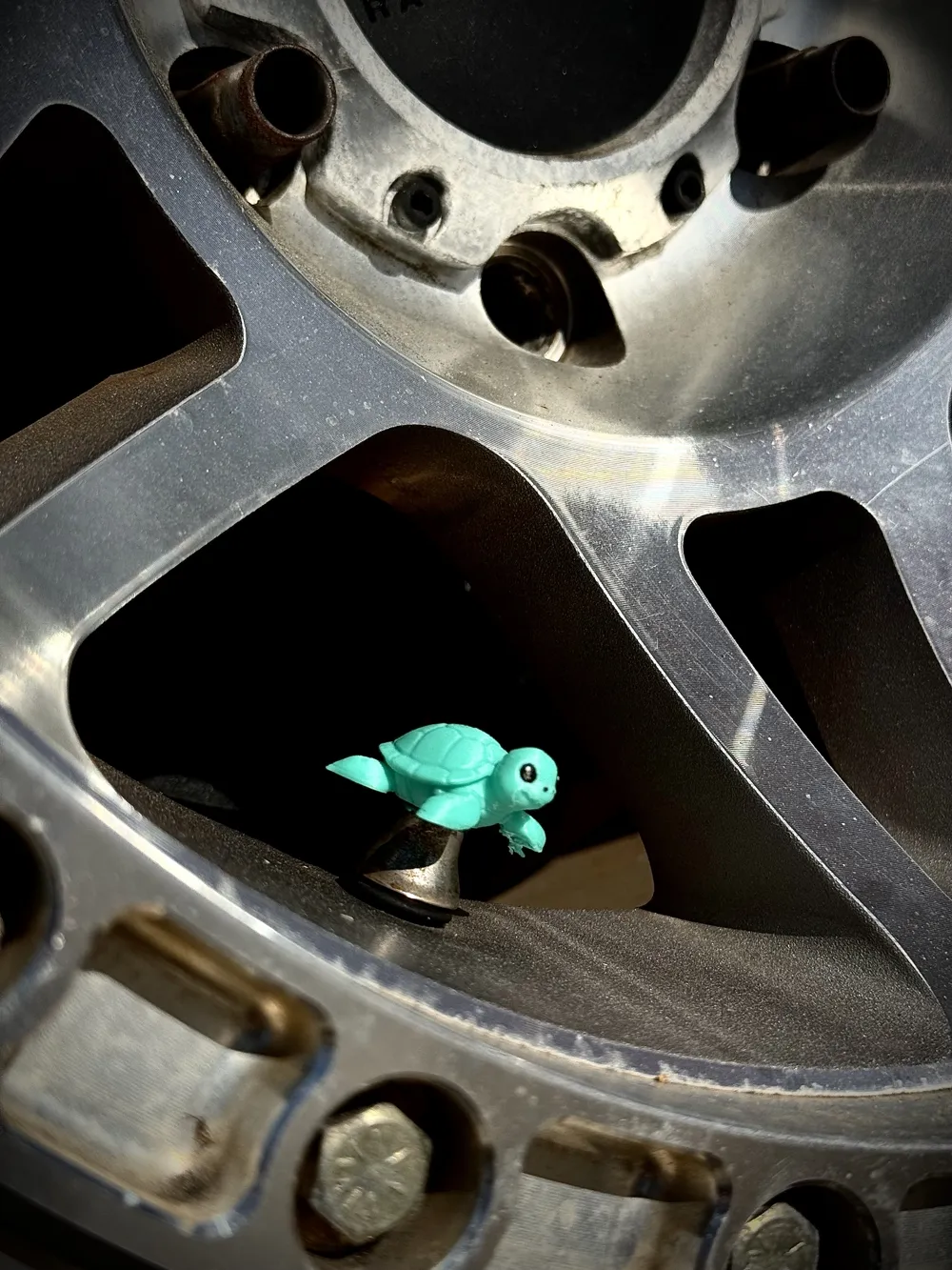 Valve Stem Caps - Cute Sea Turtle! Cars & BIkes! - Free 3D Print Model ...