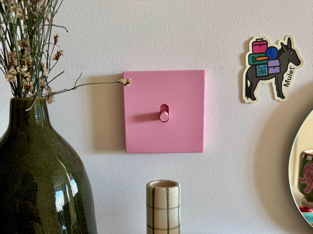 Light Switch Lizoïc