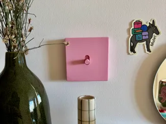 Light Switch Lizoïc