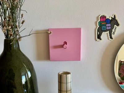 Light Switch Lizoïc