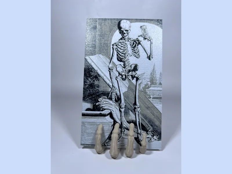 Vintage Anatomy Bidloo Hueforge