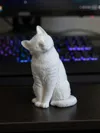 0.2mm nozzle, 0.06mm layer, 4 walls, 15% infill