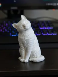 0.2mm nozzle, 0.06mm layer, 4 walls, 15% infill