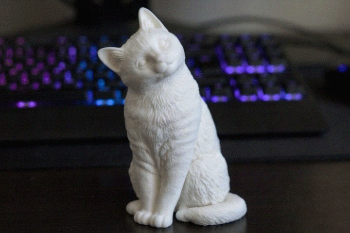 Cute Sitting Tilting Head Cat- For Cat lovers
