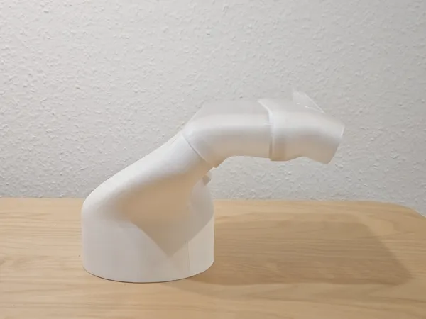 https://makerworld.bblmw.com/makerworld/model/USfe78895414fc99/design/2025-07-13_47s43becyu1a.jpg