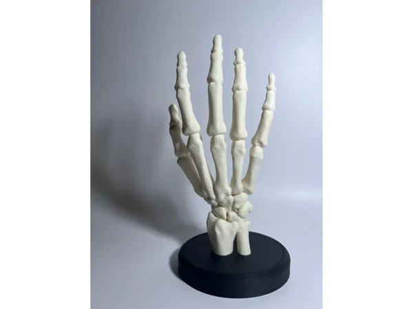 https://makerworld.bblmw.com/makerworld/model/USfe7c5c5c0e4b98/design/2025-09-20_b9d2c92a5ee538.jpg