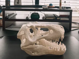 Desktop TRex Skull!