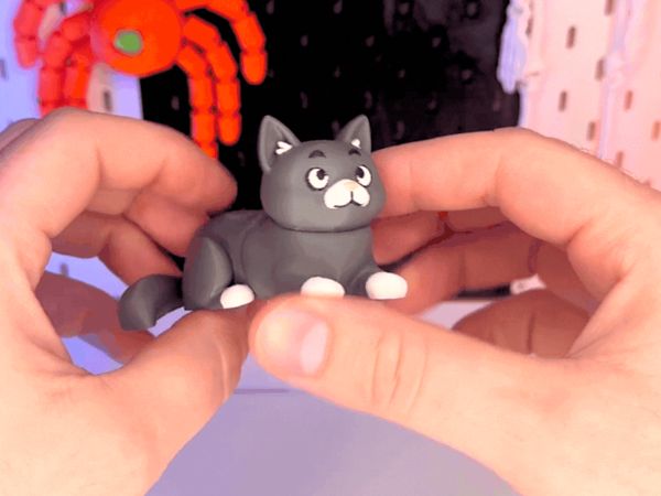 https://makerworld.bblmw.com/makerworld/model/USfe7f4e4cbbca2c/design/2025-11-22_2be1e25273158.gif