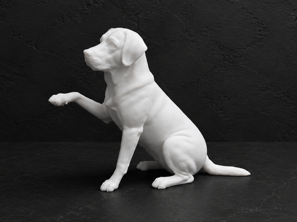 Command: Give me a paw - Labrador Retriever