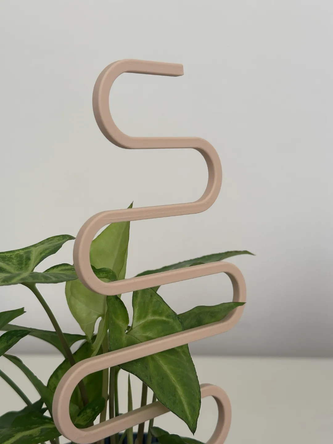 Simple Plant Supports view 3