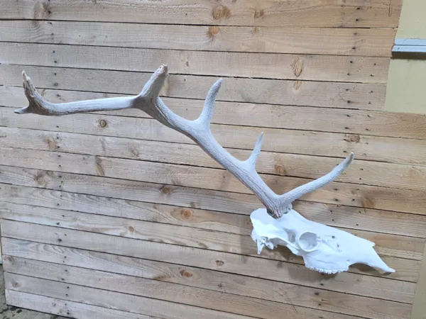 https://makerworld.bblmw.com/makerworld/model/USfe85c674308442/design/2025-11-03_05b6bfbc194aa.jpg