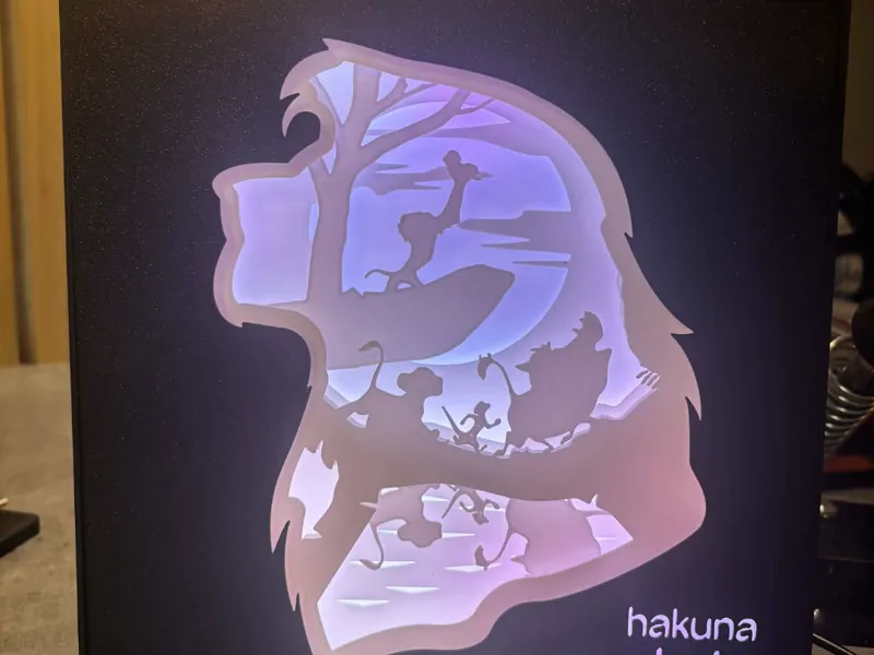 boite a ombre roi lion 