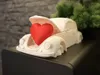 Car with Heart Cut-off