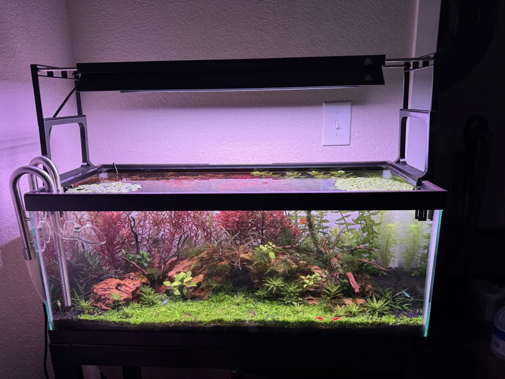 Aquarium Light Riser for 20 Gallon Long - Free 3D Print Model - MakerWorld
