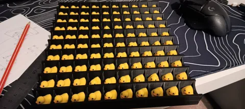 100 hidden duck game - Storage tray view 2
