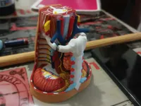 0.2mm layer, 3 walls, 15% infill