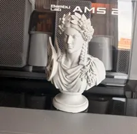 0.16mm layer, 2 walls, 10% infill