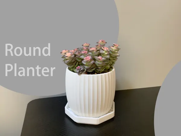https://makerworld.bblmw.com/makerworld/model/USfe9754fa2d2cf9/design/2025-05-04_fc2dcdc22350a.jpg