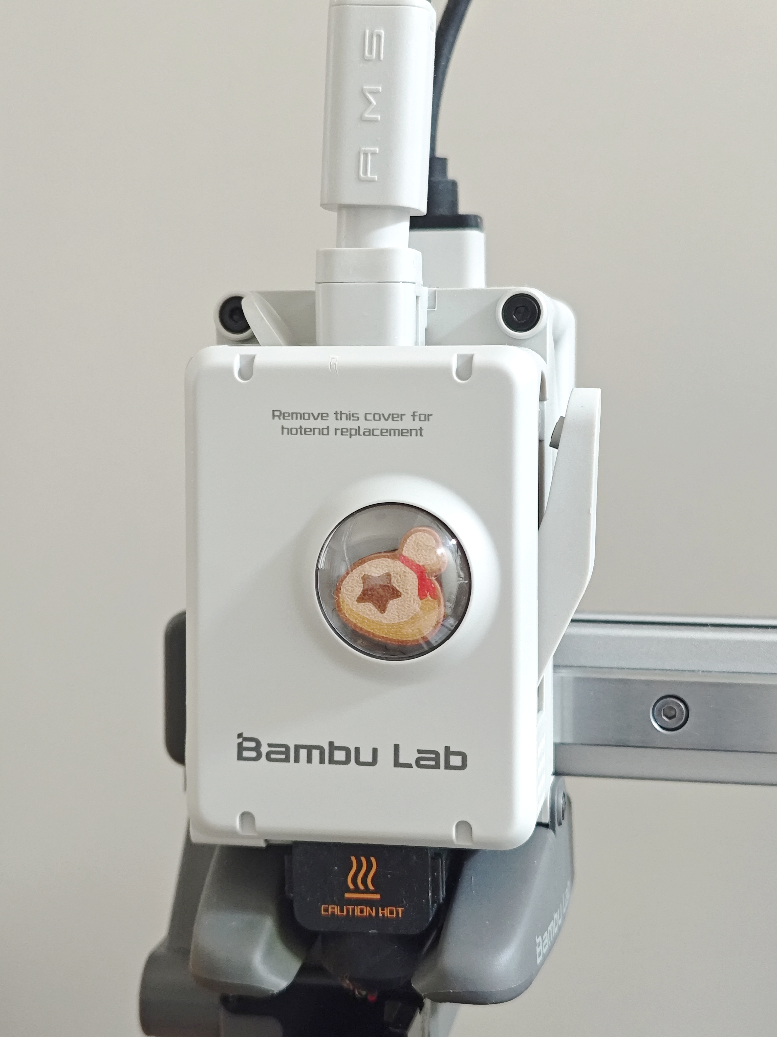 Miniatura 2 do modelo 3D 鱼蛋痛机-A1mini挤出机前盖logo