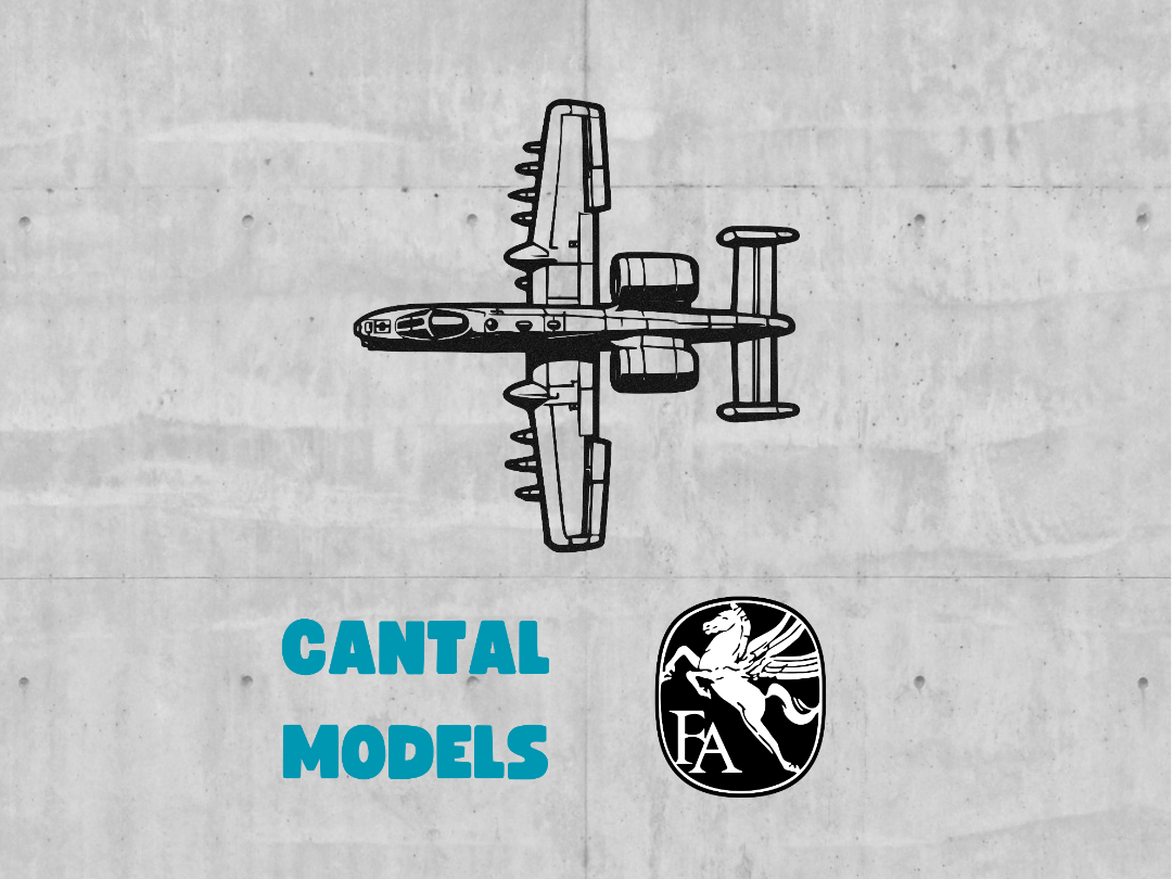 A-10 THUNDERBOLT II #2 | 2D WALL ART