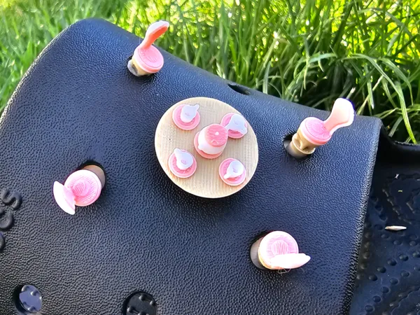 https://makerworld.bblmw.com/makerworld/model/USfe9dff4d80012d/design/2024-07-23_b7a3857ddbcb4.jpg