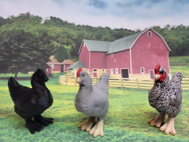 Chicken  Wyandotte realistic model no supports 