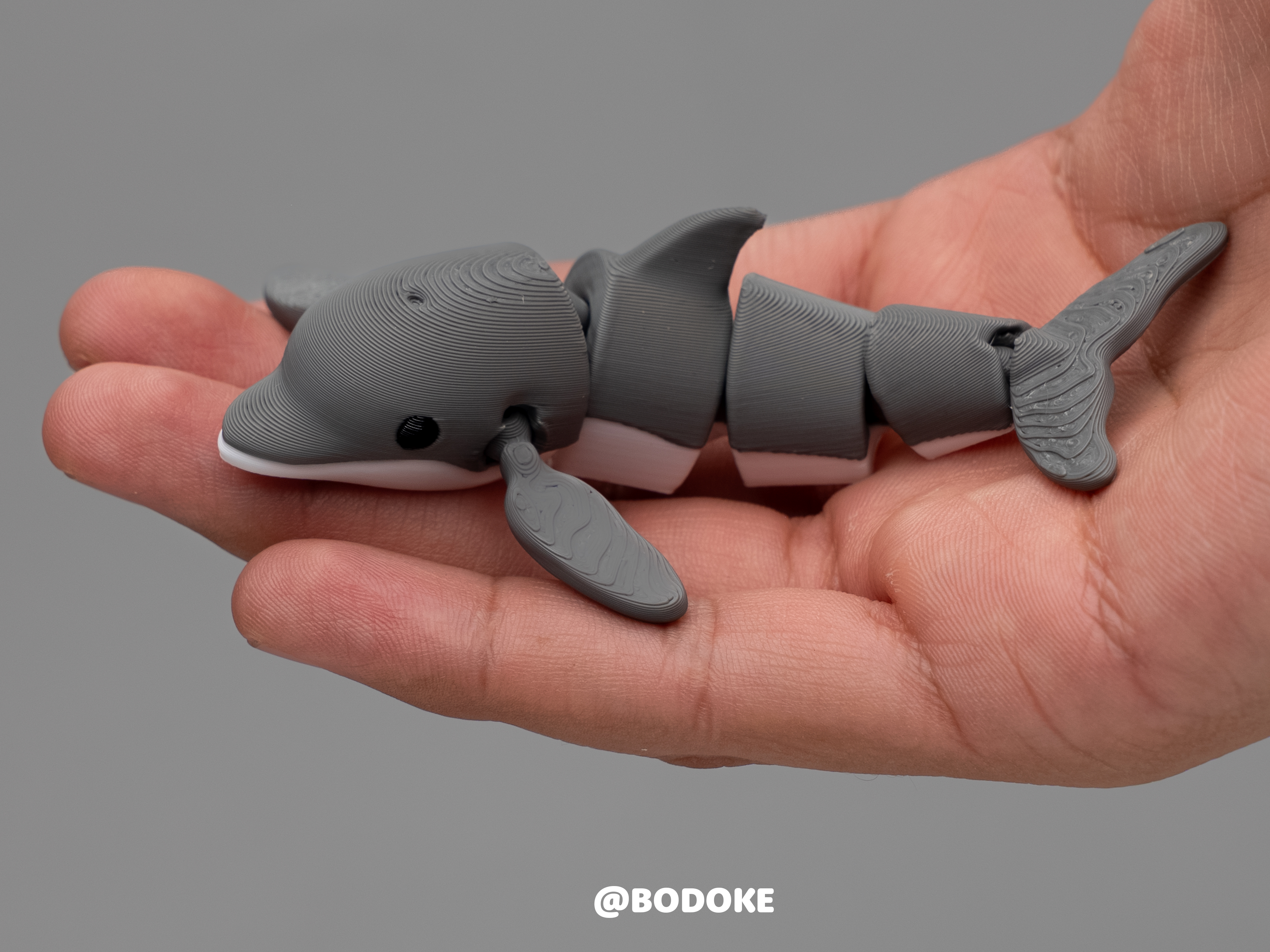 Miniatura 1 do modelo 3D Flexi Dolphin - Articulated