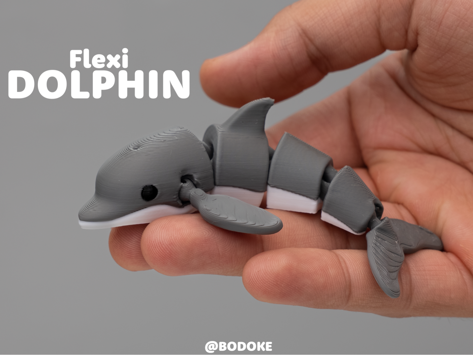 Flexi Dolphin - Articulated