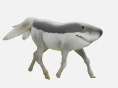shark-pony 